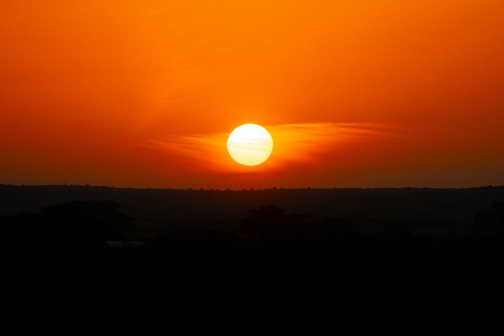 Sun rising over a hazy horizon of trees